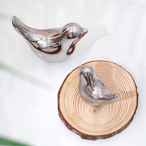 Notakia Silver Birds Statues Home Decor Modern Style Decorative Ornaments for Silver Table Decor Living Room, Bedroom, Office Desktop - color: 2pcs Silver Birds