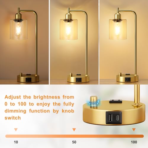 Innqoo Industrial Table Lamp for Bedroom Set of 2 - Fully Dimmable Bedside Lamps with USB Ports and Outlet, Gold Nightstand Lamps with Clear Glass Shade for Living Room, Desk Lamps for Office Reading - color: Clear Glass&Gold Base