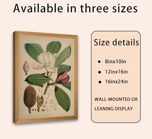 Framed Vintage Magnolia Botanical Wall Art, Antique Plant Floral Illustration Canvas Print Poster, Flower Nature Wall Decor for Living Room Bedroom, Rustic Home Decoration, - color: Green flowers, size: 24"L x 16"W