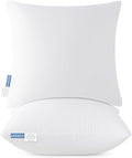 Leeden 24x24 Pillow Inserts, 24 Inch Decorative Throw Pillow Inserts, Soft Fluffy Square Throw Pillows for Couch, Sofa, Bed, and Home Decor White Cushion Pack of 2