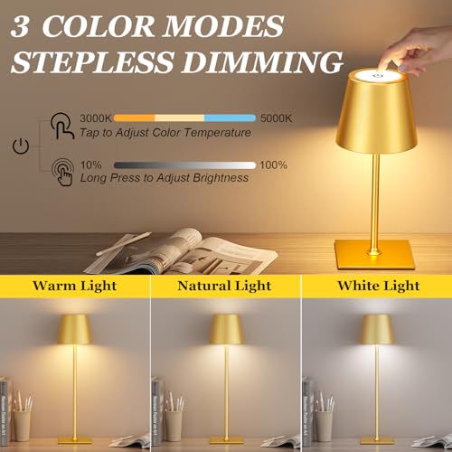 Kakanuo Gold Cordless Rechargeable Table Lamp 5000mAh Battery Operated Lamps, 3 Colors Stepless Dimming Touch Lamp for Living Room, Kitchen Counter, Dining, Outdoor Patio, 2 Pack - color: Gold 1, size: 2 Pack 14in - Up and Down Light