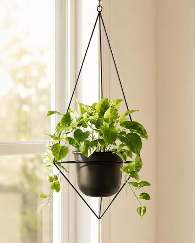 Bamworld Black Hanging Planters for Indoor Outdoor Plants Metal Hanging Pots for Plants 5 Inch Modern Hanging Basket Window Plant Hanger Ceiling Hanging Flower Pot with Chain for Wall Decor (Diamond) - size: Diamond - 5in
