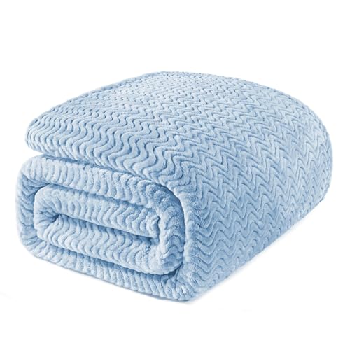 Exclusivo Mezcla Fleece Bed Blanket Twin Size, Lightweight Jacquard for Spring Summer, Soft Cozy Breathable Blankets, Light Blue, 90x66 Inches - color: Light Blue, size: Twin ( 90x66 IN )