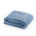 Velvet Plush Jacquard Tile Throw Blanket for Couch - Buttery Soft, Cozy Throw, for Women (Ashley Blue, 50" x 60") - color: Ashley Blue