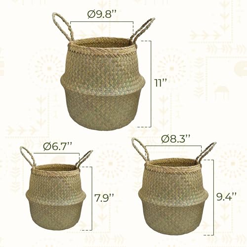 Seagrass Plant Basket Set of 3 with Handles – Handwoven Woven Basket Planter, Indoor Plant Basket & Plant Holder Basket, Natural Fiber Wicker Plant Pot Basket for Boho Farmhouse Home Decor - size: Set of 3 (with handles), style: With handles