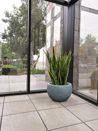 Kante 11.8" Dia Round Concrete Planter, Outdoor/Indoor Large Bowl Plant Pots with Drainage Hole and Rubber Plug for Garden Patio Balcony Home, Slate Gray - color: Slate Gray, size: 11.8" d