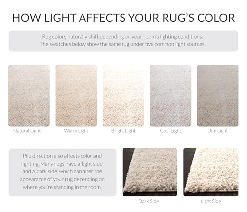 SAFAVIEH August Shag Collection Accent Rug - 2' x 3', Beige, Solid Design, Non-Shedding & Easy Care, 1.2-inch Thick Ideal for High Traffic Areas in Entryway, Living Room, Bedroom (AUG900D) - color: Beige, size: 2' x 3' (Rectangular)