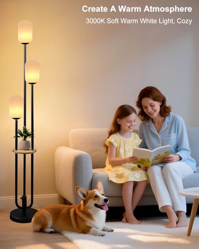 Floor Lamp for Living Room, Dimmable Vintage Floor Lamp with Shelf & LED Bulbs, 3 Light 3000K Soft Warmwhite Mid Century Standing Lamp, Tall Lamps with 5Lbs Heavy Base for Bedroom Home Decor - color: Oval-Black