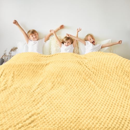 Vessia Flannel Fleece Queen Size Bed Blanket(90x90 inch), 3D Jacquard Light Yellow Fuzzy and Warm Blanket for Adults, 300GSM Super Soft Touch Cozy Lightweight Bed Decor for All-Season - color: Light Yellow-3d, size: 90x90 inch