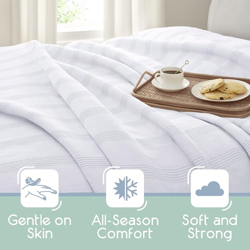 Vellux 100% Cotton Blanket, Queen, 90x90, White | Soft, Breathable Knit, Lightweight, All Season, Machine Washable, Oeko-Tex Certified, Hotel Quality - color: White, size: Queen