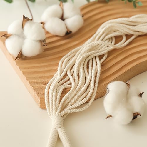 Hanging Planter with Patterns,2Packs Macrame Plant Hangers Indoor Macrame for up to 8 inch Pot Crochet Boho Plant Hanger Holder for Indoor Outdoor with 2S Shaped Stainless Steel Hooks (White) - color: White