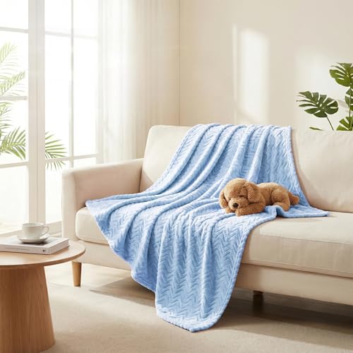 Exclusivo Mezcla Fleece Throw Blanket for Couch, Lightweight Jacquard Bed Blanket for Spring Summer, Soft Cozy Breathable Throws, Light Blue, 50x70 Inches - color: Light Blue, size: Throw ( 50x70 IN )