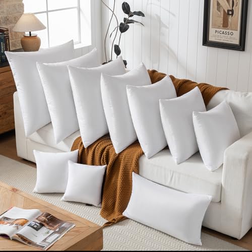 basic home Hotel-Style Goose Feather Down Euro Pillow Insert for Sofa & Bed - 100% Odorless & Plump Cushion Filler - 233TC Cotton with Inner Liner to Prevent Poking (28x28 Inch) - size: 28x28