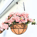 LaLaGreen Hanging Planter for Outdoor Plants (16 Inch, 6 Pack) Hanging Baskets with Coco Liner, Black Metal Wire Flower Basket Pots with Hook Hanger Balcony Porch Farmhouse Country Style Garden Decor - size: 16" x 6 Pack