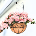 LaLaGreen Hanging Planter for Outdoor Plants (16 Inch, 6 Pack) Hanging Baskets with Coco Liner, Black Metal Wire Flower Basket Pots with Hook Hanger Balcony Porch Farmhouse Country Style Garden Decor - size: 16" x 6 Pack