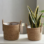 Woven Plant Basket - Straw Flowerpot, Decorative Holder with Handle, Indoor Outdoor Accessory with Stylish Design, Home Garden Tool for Balcony Yard Patio Pathway Lawn Display