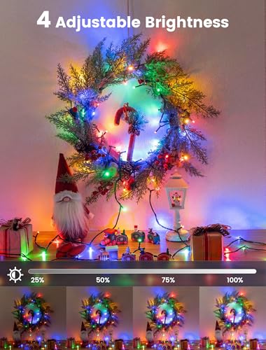 Hopolon Christmas String Lights Outdoor, 33 FT 100 LED Extendable Green Wire Twinkle Lights with Remote, 8 Modes Waterproof Fairy Light Plug in for Xmas Tree Wedding Party Patio Indoor (Multicolor) - color: Multicolor, size: 100 LED with Remote