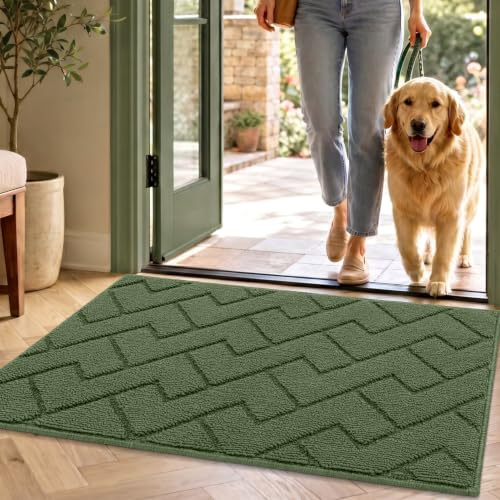 hicorfe Indoor Door Mat,20"x32" Non Slip Door Mat Indoor Entrance,TPR Backing Dirt Trapper Entryway Mat,Washable Floor Mats,Low-Profile Welcome Mat for Hallway,Entrance,Front Back Door(Green) - color: Green, size: 32" x 20" (Rectangular)