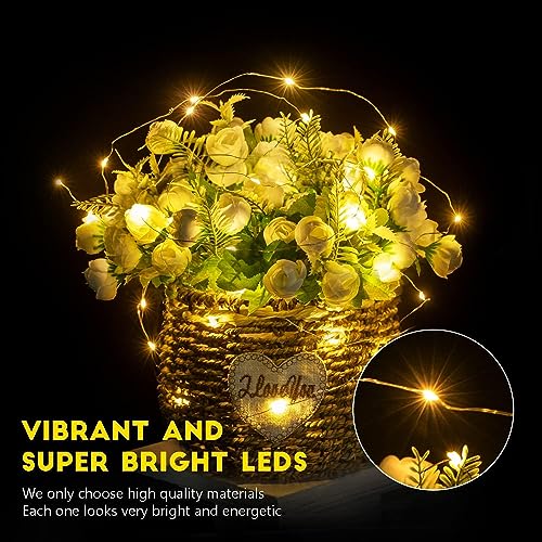Fairy Lights Battery Operated String Lights - 12 Pack 7ft 20 LED Silver Wire Firefly Lights for Mason Jars DIY Picture Walls Shelves Arts Crafts Trees Branches Bedroom Wedding Party Decor(Warm White) - color: Warm White, size: 12 Pack