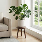 Wood Plant Stands Indoor, Updated Single Plant Stand Modern Plant Table for Large Plants, Wooden Plant Stool, Tall Plant Holder Small Round Side for Living Room, Balcony, Office (Dark Brown) - color: Dark Brown