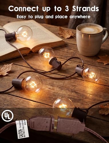 SUNSGNE 25Ft Globe String Lights with 27 Clear G40 Bulbs, Natural Warm Bulb Hanging Umbrella Lights for Backyard Patio Garden Party Cafe Indoor Outdoor Decor-Brown - color: Clear-Brown, size: 25 Ft