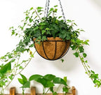 Kingbuy 14 Inch Metal Hanging Planter Basket with Coconut Liner, Wire Plant Holder Watering Pot for Indoor Outdoor Garden Balcony Patio Decoration - 2 Pack