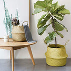 Craft Small Seagrass Belly Basket for Storage, Laundry, Picnic and Woven Straw Beach Bag - Plant Pots Cover Indoor Decorative