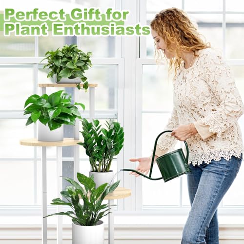 5 Tier Wood Tall Plant Stand Metal Rack Indoor, Multiple Flower Pot Holder Shelves Corner Rack, Round Planter Shelf Display Rack Storage Organizer for Patio Living Room Balcony(White+Oak) - color: White+Oak, size: 5 Tier