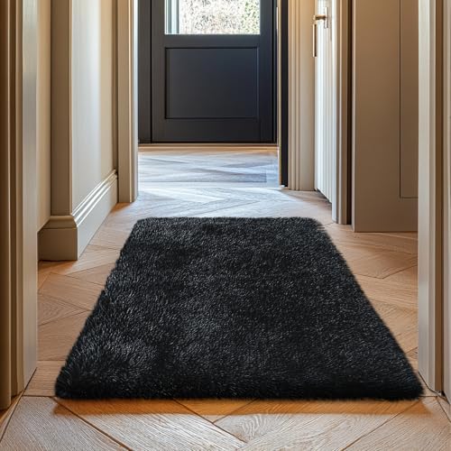 2x3 Fluffy Area Rugs for Bedroom Living Room,Small Soft Shag Fuzzy Rug Non-Shedding Indoor Plush Carpet for Bedroom Dorm Home Decor,Black - color: Black, size: 2' x 3' (Rectangular)