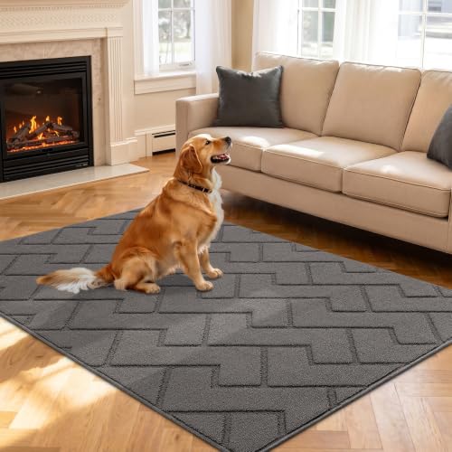 hicorfe Indoor Doormat,Front Back Door Mat Rubber Backing Non Slip Door Mats 47"x71" Absorbent Resist Dirt Entrance Doormat Inside Floor Mats for Entryway Washable Low-Profile (Grey) - color: Grey, size: 71" x 47" (Rectangular)