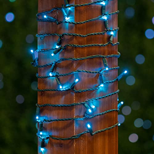 Novelty Lights 25ft 50 LED Teal Christmas Lights Outdoor/Indoor, 6" Spacing, Green Wire String Lights for Festive Xmas Lighting, IP55, UL Listed, Dimmable, Connectable - color: Teal