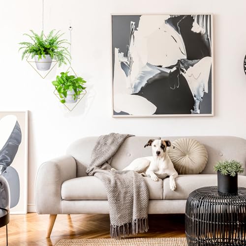 Hanging Planters for Indoor Plants, 2 Set Self Watering Hanging Flower Pots, Modern Hanging Plant Baskets with Metal Plant Holder & 6.5 Inch Plastic Pots for Garden Home Decor (Gold Frame White Pot) - color: Gold Frame White Pot