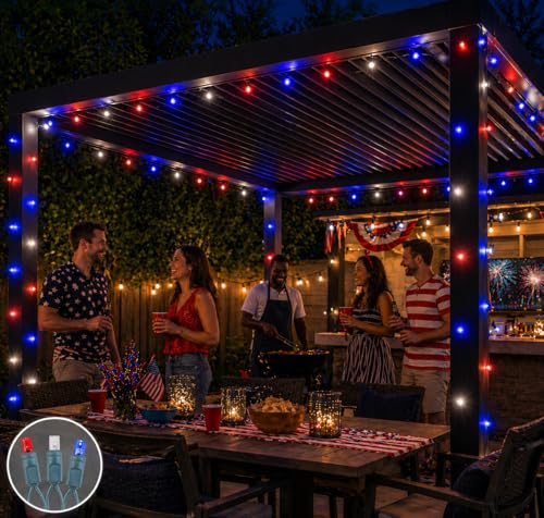Novelty Lights 50 LED 25ft Red White Blue Lights, USA Patriotic 4th of July String Lights, Wide Angle Mini Lights on Green Wire, Commercial Grade, Connectable Indoor Outdoor Christmas Lights - color: Red / White / Blue