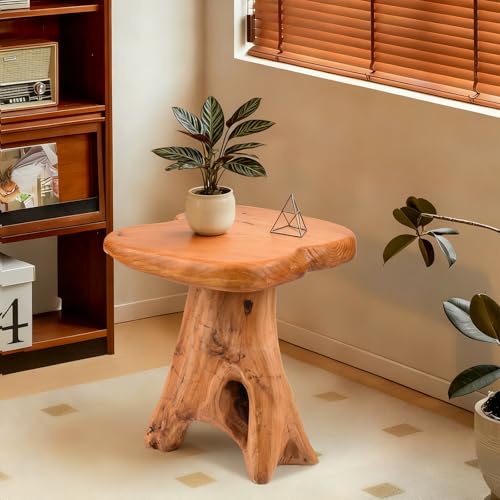 Small Side Table, Freeform Live Edge Wood Stool, Unique Design Natural Plant Stand for Patio, Garden, Yard, Living Room, Bedroom - size: 14"D x 13"W x 14.5"H