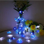 Starryfill Beach Theme 36 LED String Lights Jellyfish Seahorse Starfish 12.96ft Battery Operated Waterproof Cold White with Remote Control and Timer for Patio Wedding Nursery Bedroom Party Birthday - color: Jellyfish