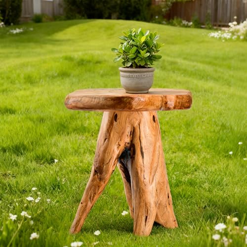 18.9 inch Live Edge Wood Stool, Live Edge Wood Stool, Freeform Mushroom Side Table Natural Plant Stand for Garden, Yard, Living Room, Bedroom - size: 14"D x 13"W x 19"H