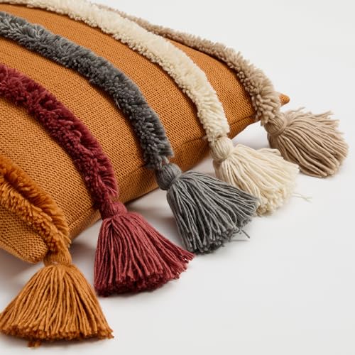 Bohemian Decorative Throw Pillow Cover, 17.7x17.7 inches, Rainbow Striped Tufted with Tassels, Acrylic (A4) - color: A4
