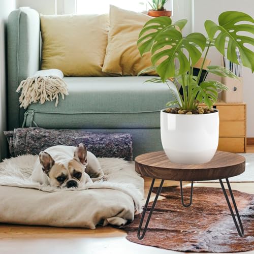 Wood Plant Stand Indoor Outdoor, 10'' Wooden Planter Stands Fit 5-12 Inch Pot, Plant Stool Flower Pot Stand Gardening Display Pedestals for Decor Living Room Balcony, Office, Patio - size: Medium
