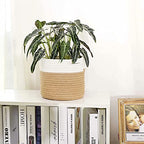 Cotton Rope Plant Basket Modern Hand Woven Planter for 8 Inch Flower Pot Floor Indoor Planters Foldable Storage Organizer Basket Rustic Home Decor White Stitching Khaki W 8.5" x H 7.5"