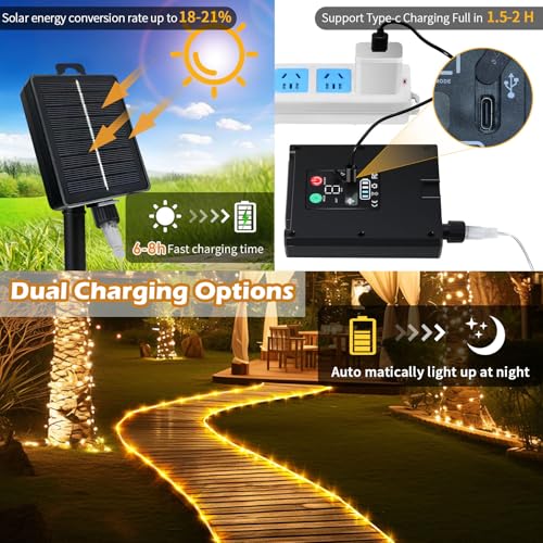 LairtPOW Solar Rope Lights with Remote for Palm Tree,39FT 100LEDs Outdoor Solar Strip Lights for Garden,IP67 Waterproof,USB Charging, Timing & 8 Modes Larger Tube Fairy Light for Christmas(Warm White) - color: Brighter-Warm White, size: 100 LED