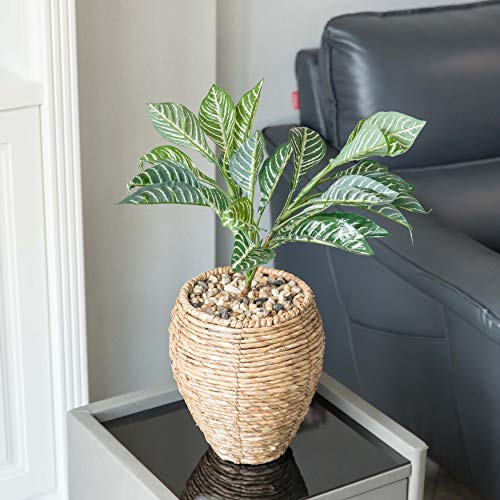 Vintiquewise Woven Round Flower Pot Planter Basket with Leak-Proof Plastic Lining- Small - size: Small