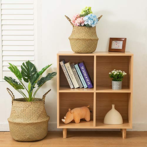 BrilliantJo Seagrass Belly Basket, Set of 2 Woven Plant Pot Holder handmade Home Decor for Storage Plants Picnic Grocery Medium(10.63 x 9.44 inch) - size: M(Set of 2)