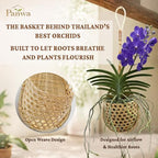 Premium Edition - Thai Natural Light Bamboo Super Sanctuary Orchid Hanging Basket 6 Inch (Set of 2) - color: 6 Inch Light Natural 2-pack