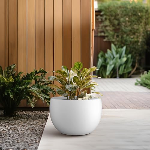 Kante 11.8" Dia Round Concrete Planter, Outdoor/Indoor Large Bowl Plant Pots with Drainage Hole and Rubber Plug for Garden Patio Balcony Home, Pure White - color: Pure White, size: 11.8" d