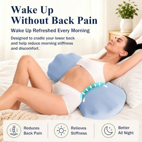 Fledano Lumbar Pillow for Sleeping, Lumbar Support Pillow for Bed for Back Pain Relief, Memory Foam Lower Back Pillow for Bed, Back Support Pillow for Side & Back Sleepers, Washable Cover - color: 01-blue