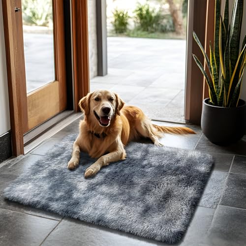 2x3 Fluffy Area Rugs for Bedroom Living Room,Small Soft Shag Fuzzy Rug Non-Shedding Indoor Plush Carpet for Kids Bedroom Nursery Dorm Home Decor,Tie-Dyed Black - color: Mottling Black, size: 2' x 3' (Rectangular)