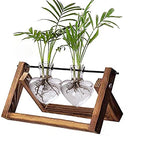 Kingbuy Glass Desktop Planter with Retro Wooden Stand and Plant Terrarium Vase (2 Hearts) for Indoor Home Office Desk Decor Accessories - size: Heart 2 Bulb