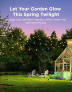 Govee Clear Bulb Outdoor String Lights, 96ft RGBWIC Dimmable Patio & Backyard Lights with 30 LED Bulbs, 111 Modes, IP67 Waterproof & Shatterproof, Works with Alexa, Google & Matter - size: 96ft