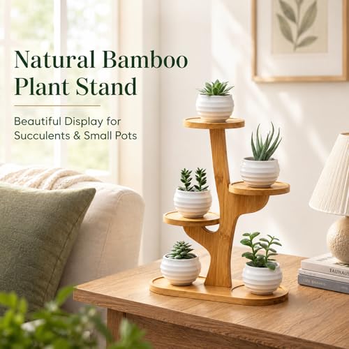 5 Tiered Desk Plant Stand Bamboo Tree Plant Shelf Tabletop Succulent Herb Stand Desktop Plant Stand Indoor Plant Rack for in Living Room Office Decoration (5 Tiered) - size: 5 Tiered