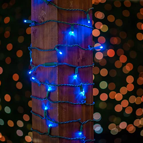 Novelty Lights 25ft 50 LED Blue Christmas Lights Outdoor/Indoor, 6" Spacing, Green Wire String Lights for Festive Xmas Lighting, IP55, UL Listed, Dimmable, Connectable - color: Blue